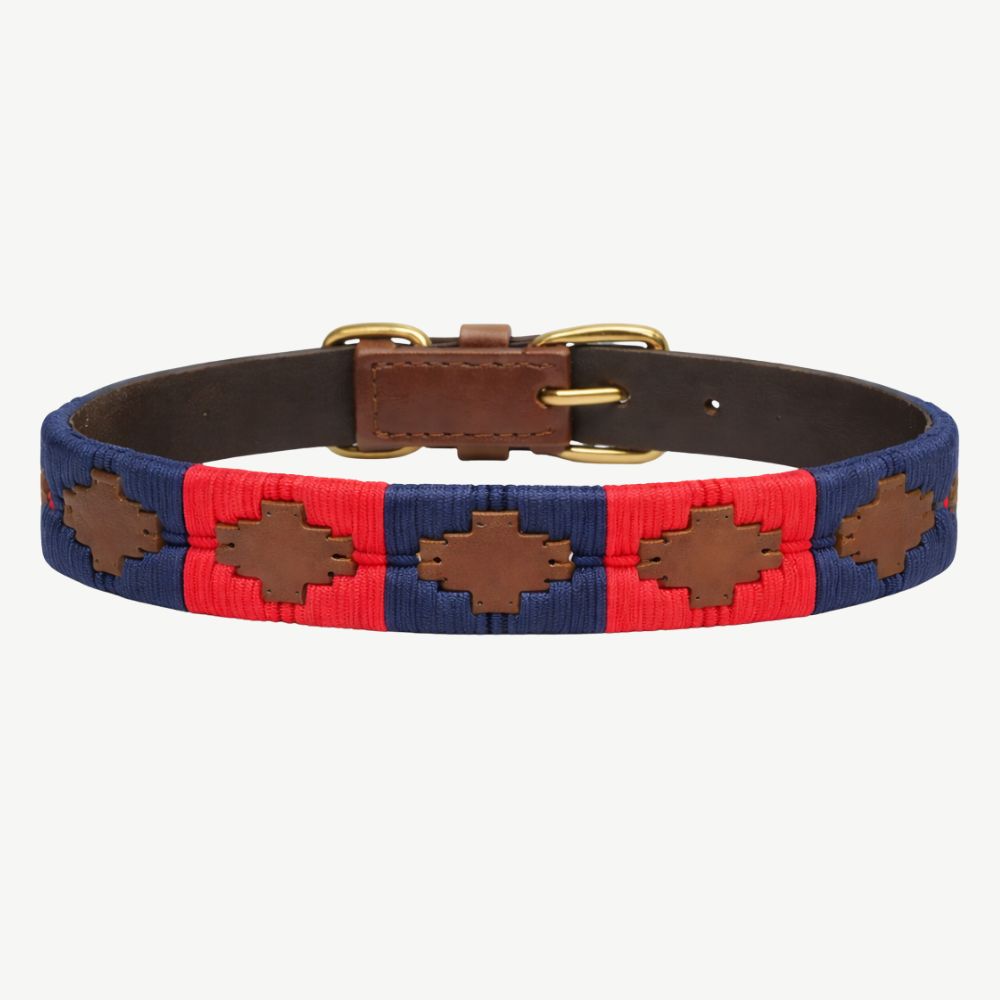 Royal Dog Collar