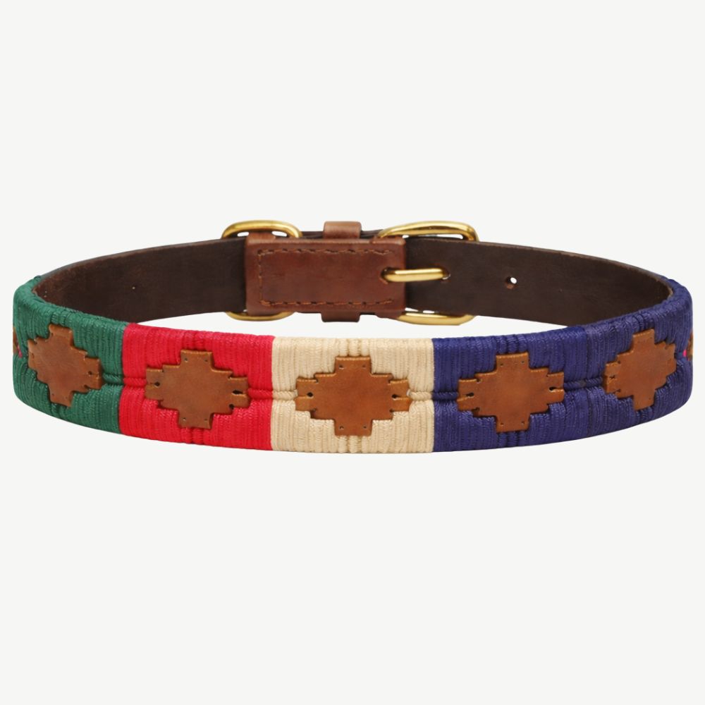 Kingfisher Dog Collar