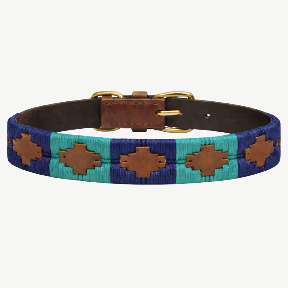 Tolt Dog Collar