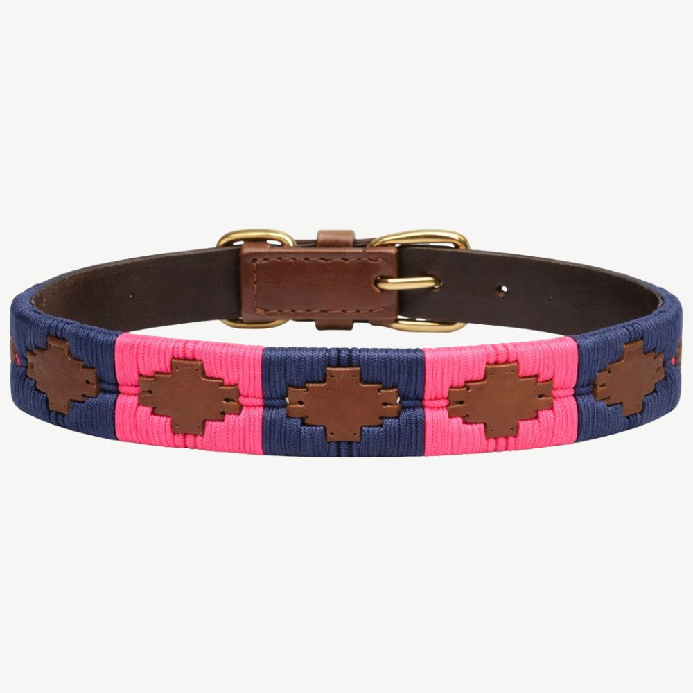 Bruno Dog Collar