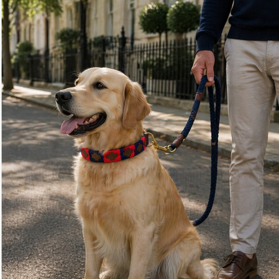 Royal | Dog Collar - Image 2