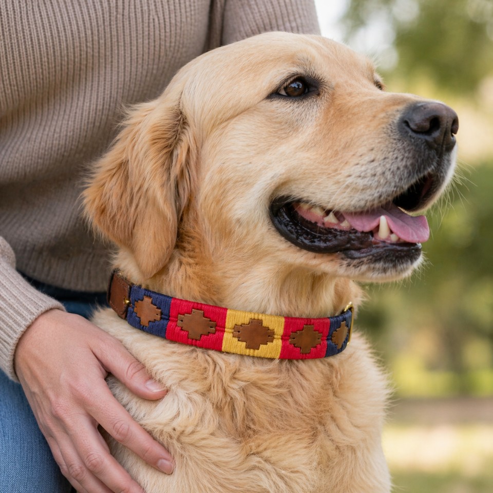 Medusa | Dog Collar - Image 2